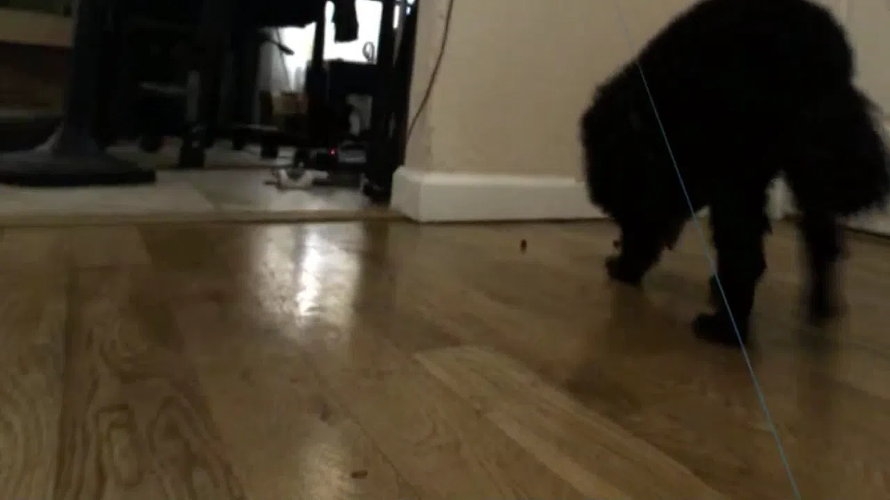 GonzoVR Screenshot 3