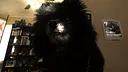 GonzoVR Screenshot 2
