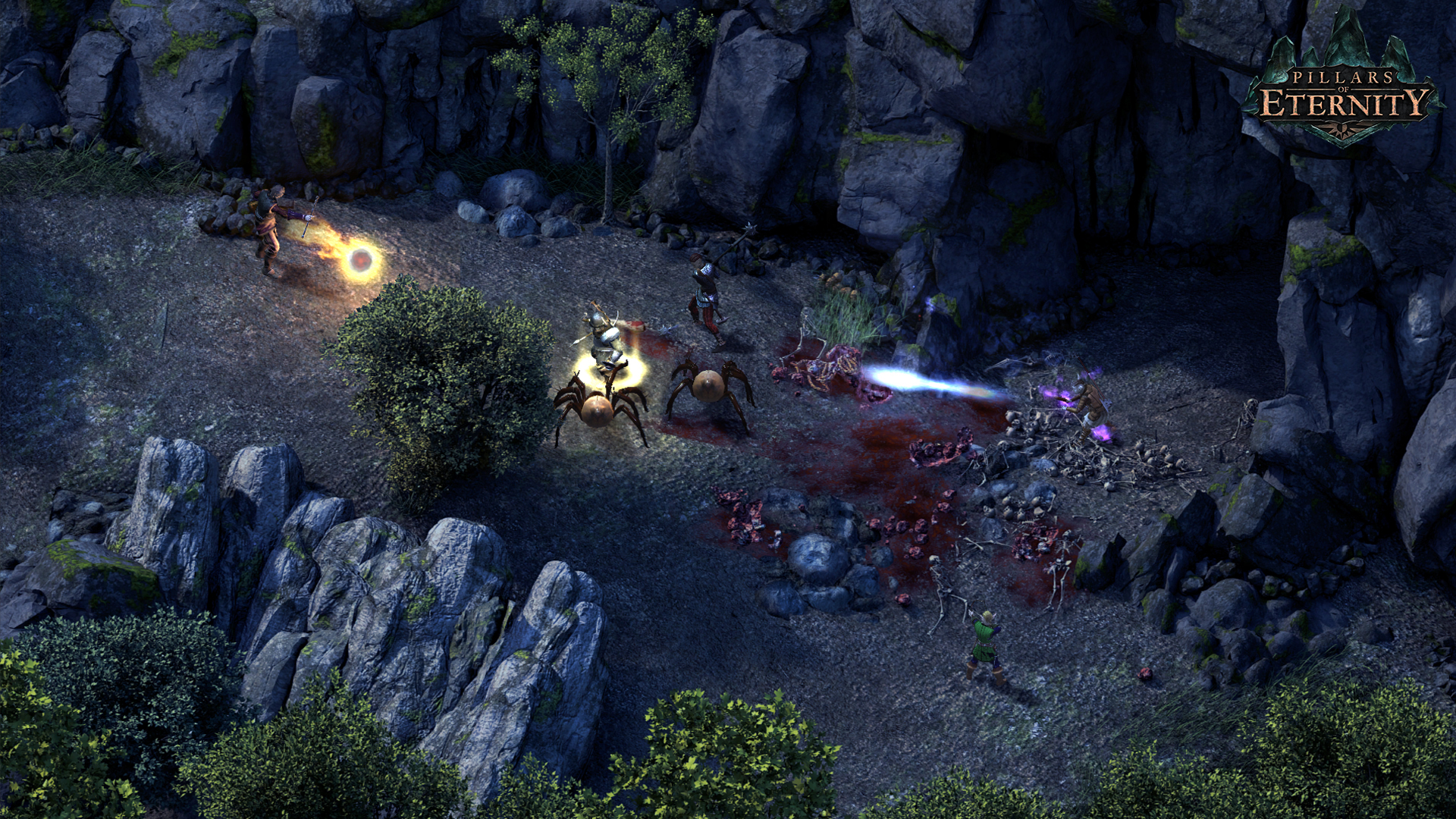 Pillars of Eternity Screenshot 3