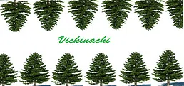 Vickinachi