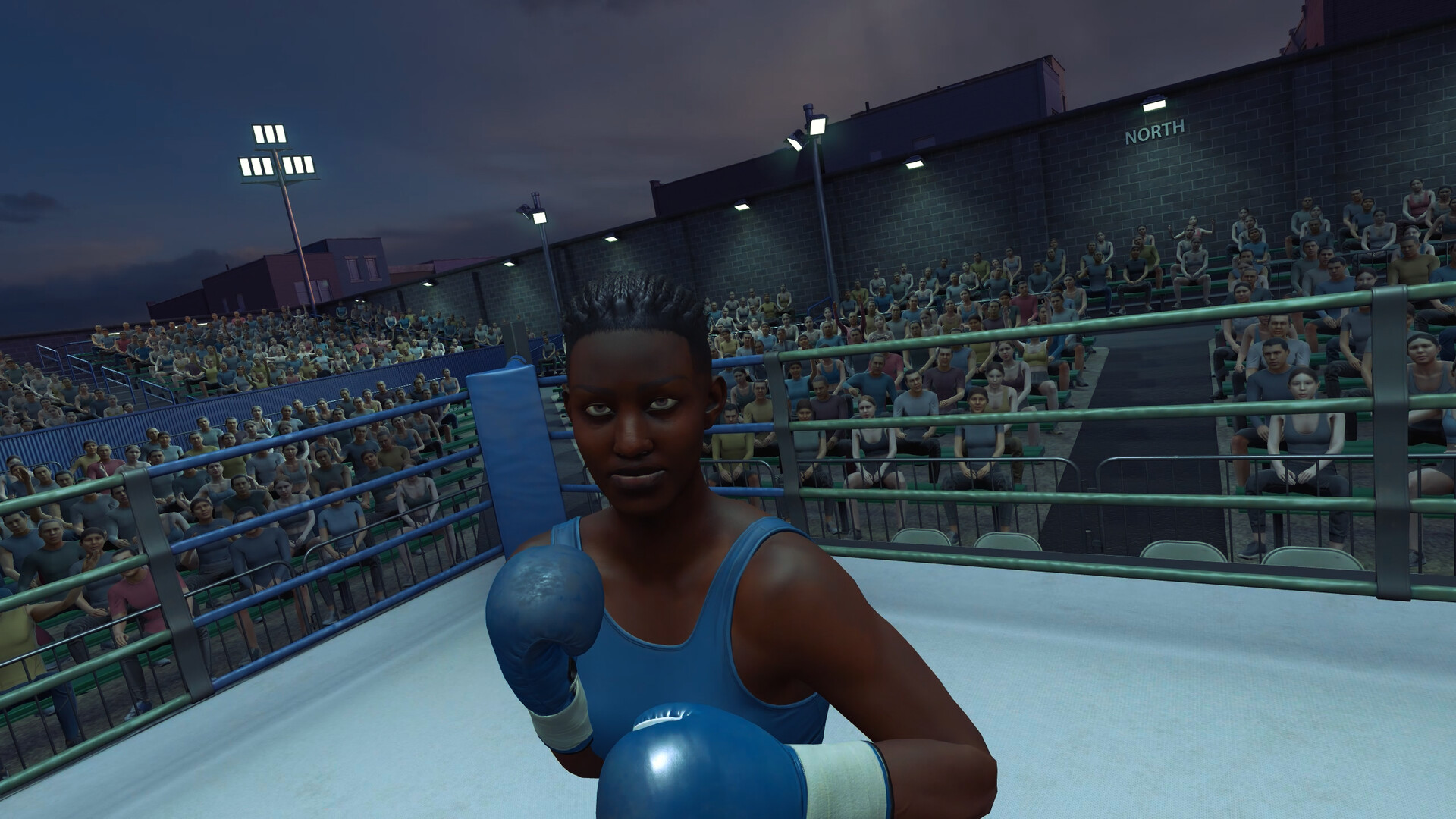 The Thrill of the Fight 2 Spectator Screenshot 4