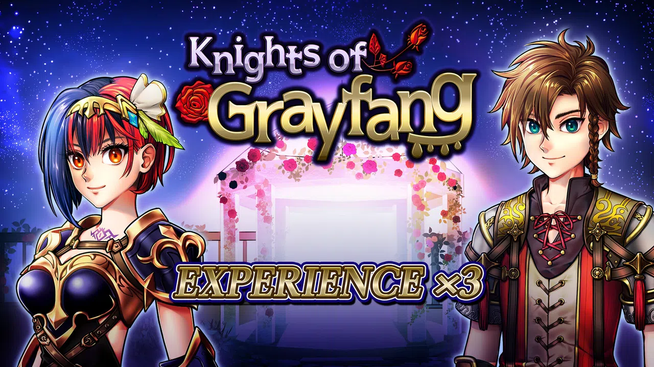 Experience x3 - Knights of Grayfang Screenshot 0