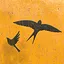 Free Bird icon