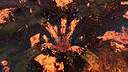 Dungeons 4 - Tales from the Campfire Screenshot 9