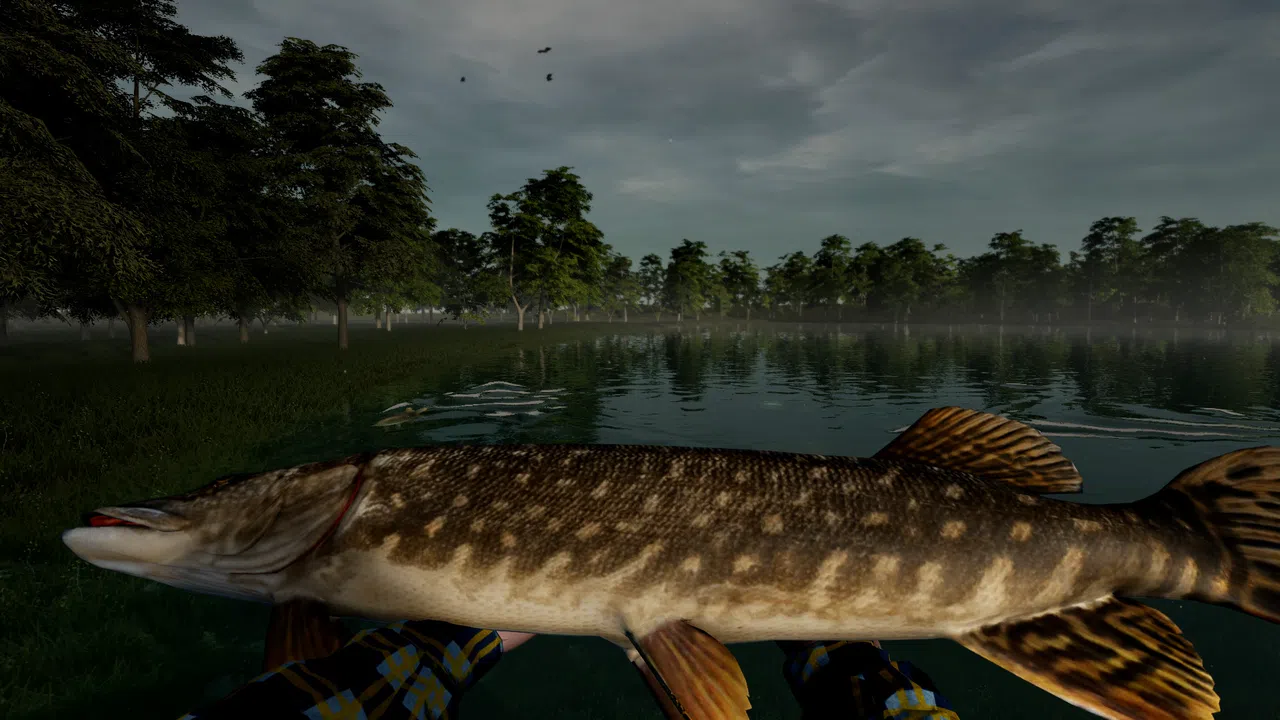 Tales of Herring Lake Screenshot 8