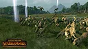 Total War: WARHAMMER - Realm of The Wood Elves Screenshot 6