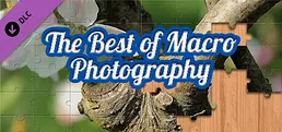 House of Jigsaw: The Best of Macro Photography