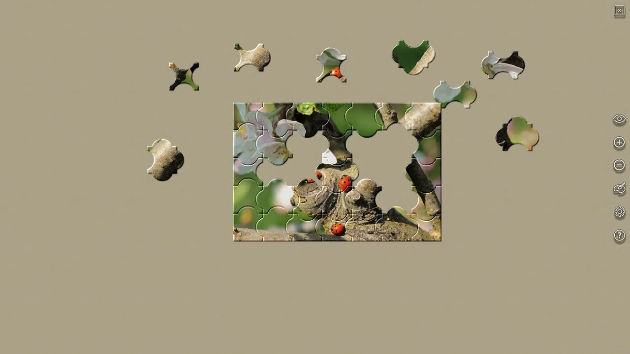 House of Jigsaw: The Best of Macro Photography Screenshot 4