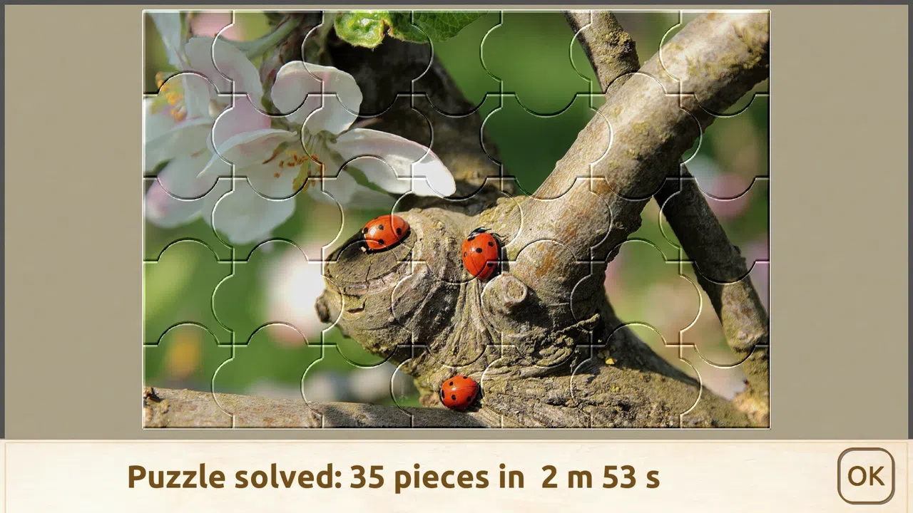 House of Jigsaw: The Best of Macro Photography Screenshot 5