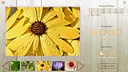House of Jigsaw: The Best of Macro Photography Screenshot 0