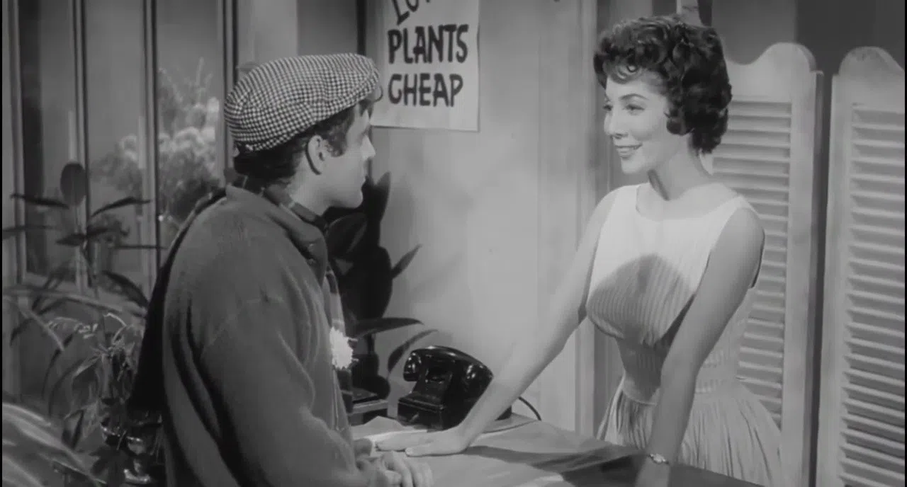ROUGH KUTS: The Little Shop of Horrors Screenshot 3
