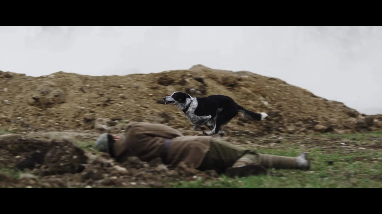 Canis Belli Screenshot 2