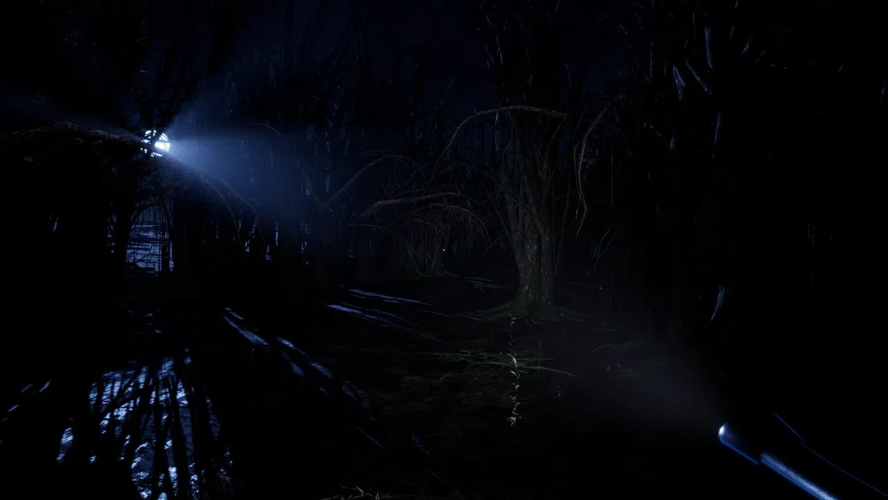 Debt - Chasing Treasure Screenshot 17