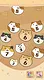 cat gathers ten Screenshot 2