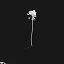 Flower1 icon