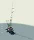 Flower Design Screenshot 11