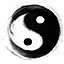 阴阳两分 icon
