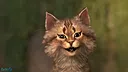 FaceRig Screenshot 1