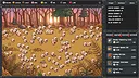 Shear Field Screenshot 1