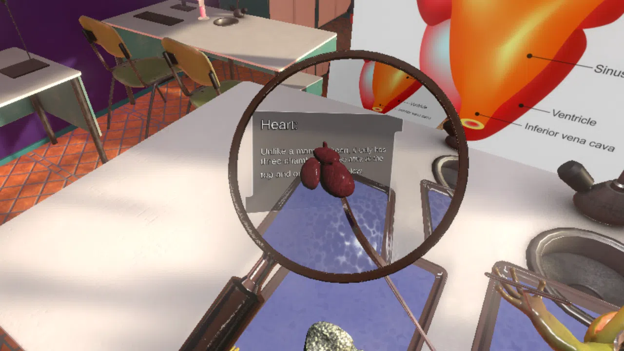 Dissection Simulator: Frog Edition Screenshot 6