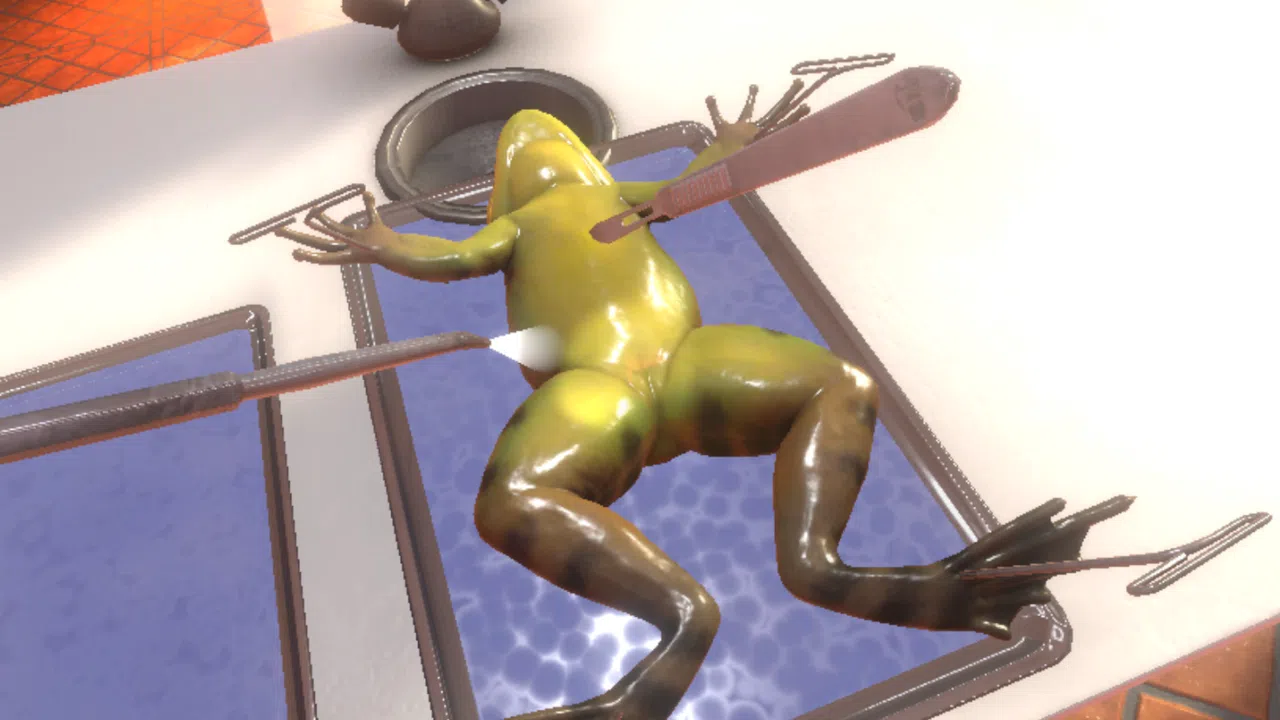 Dissection Simulator: Frog Edition Screenshot 1