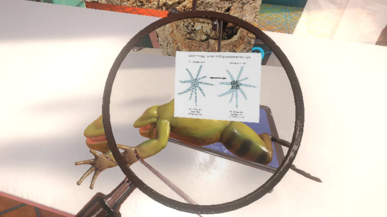 Dissection Simulator: Frog Edition Screenshot 4