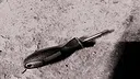 Prison Chain: The Unredeemed Thought Screenshot 6
