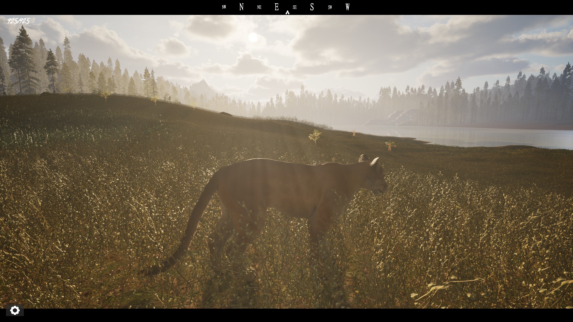 Untamed Kingdom Screenshot 9