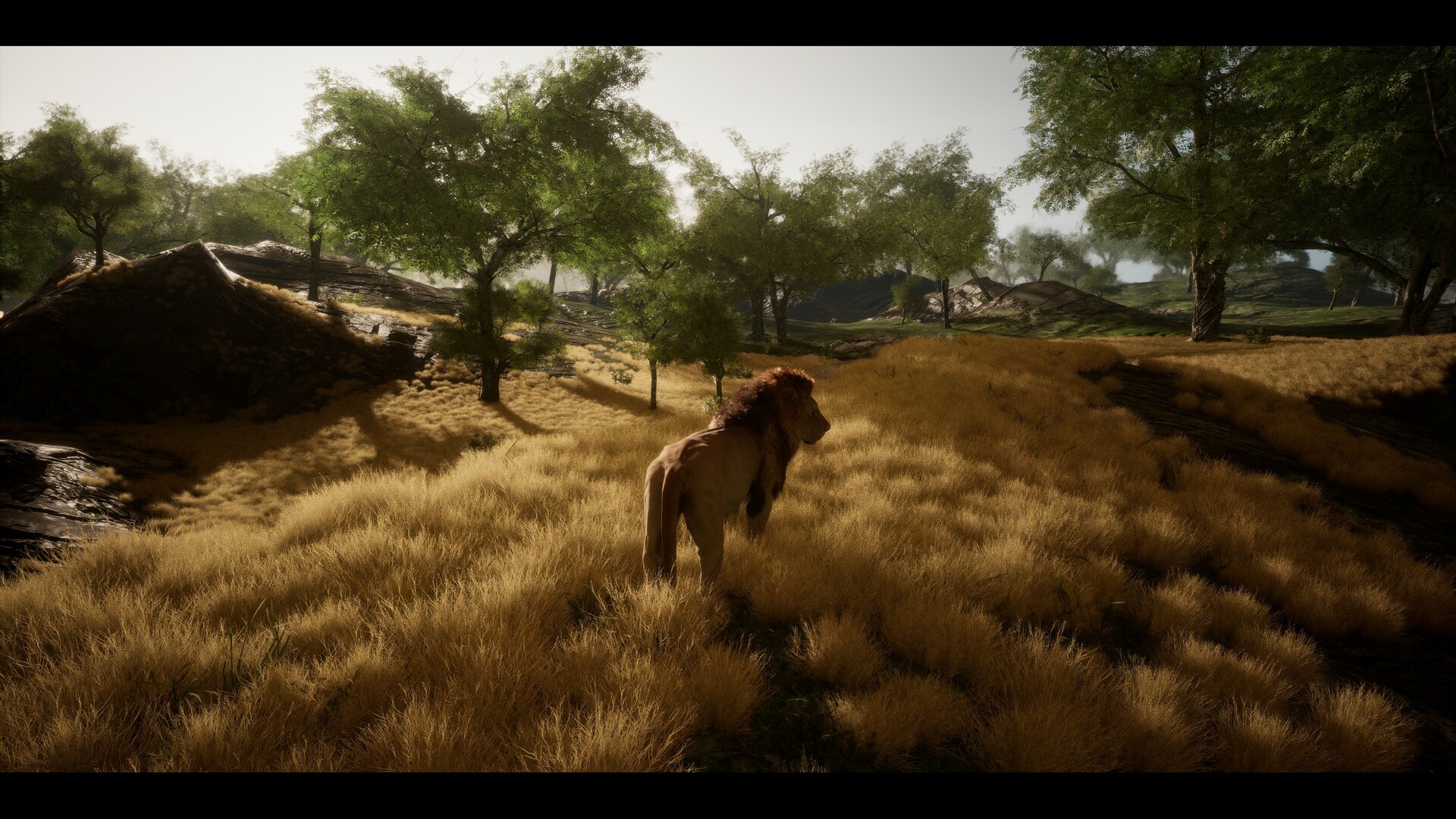 Untamed Kingdom Screenshot 17