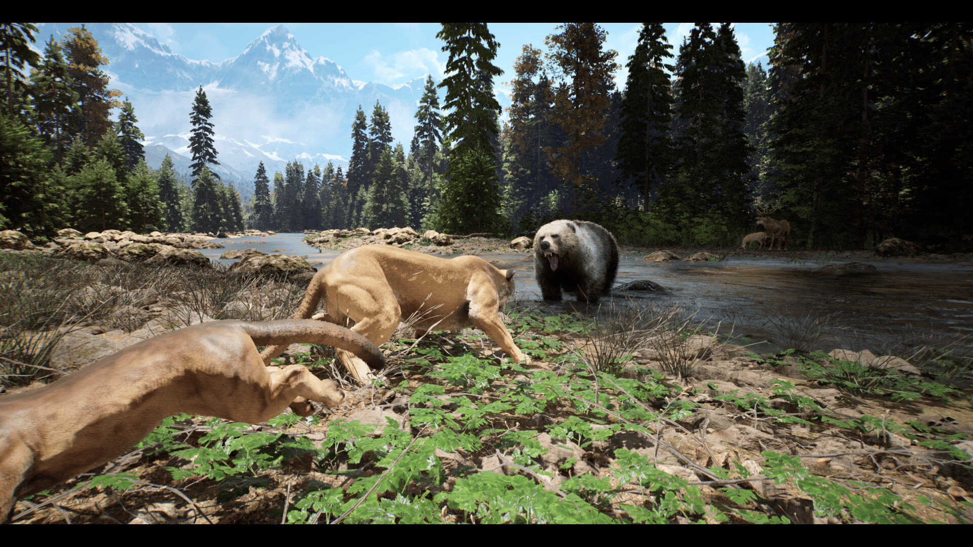 Untamed Kingdom Screenshot 2