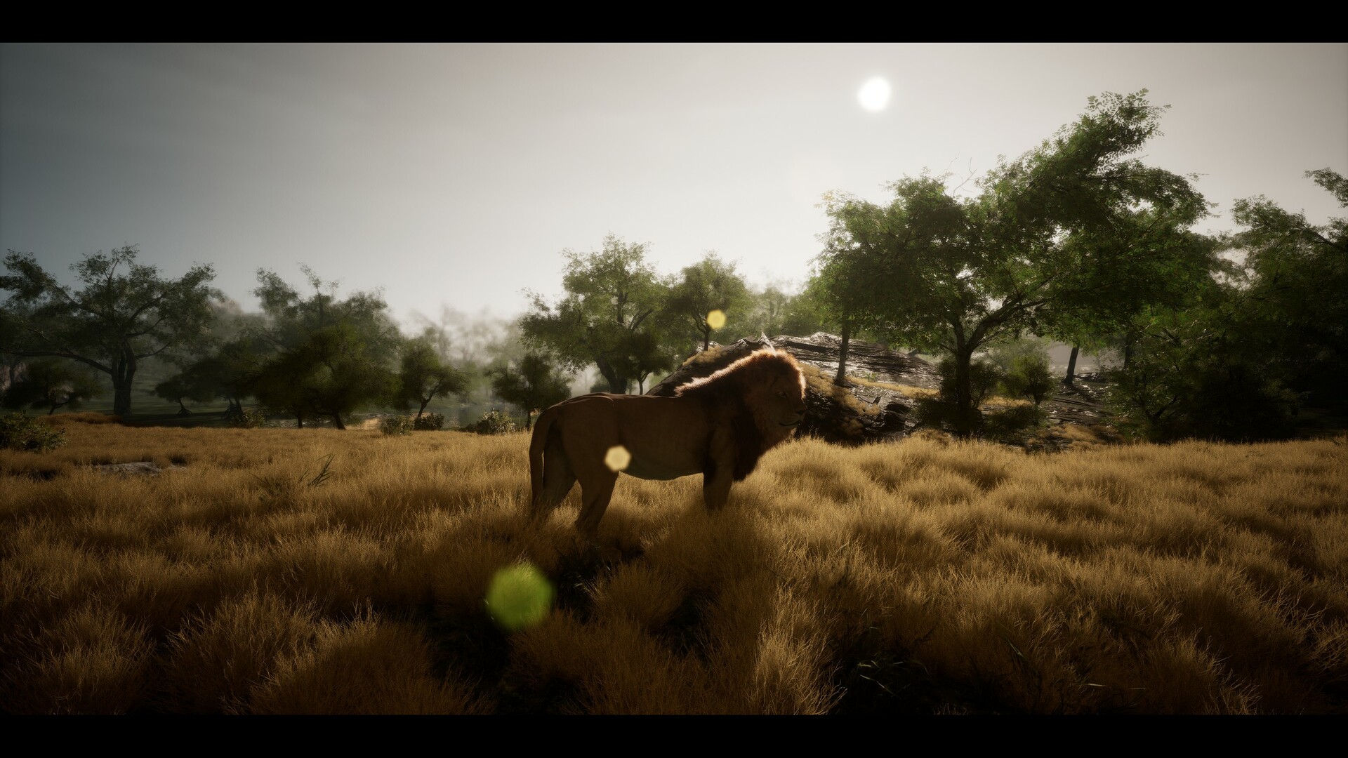 Untamed Kingdom Screenshot 15