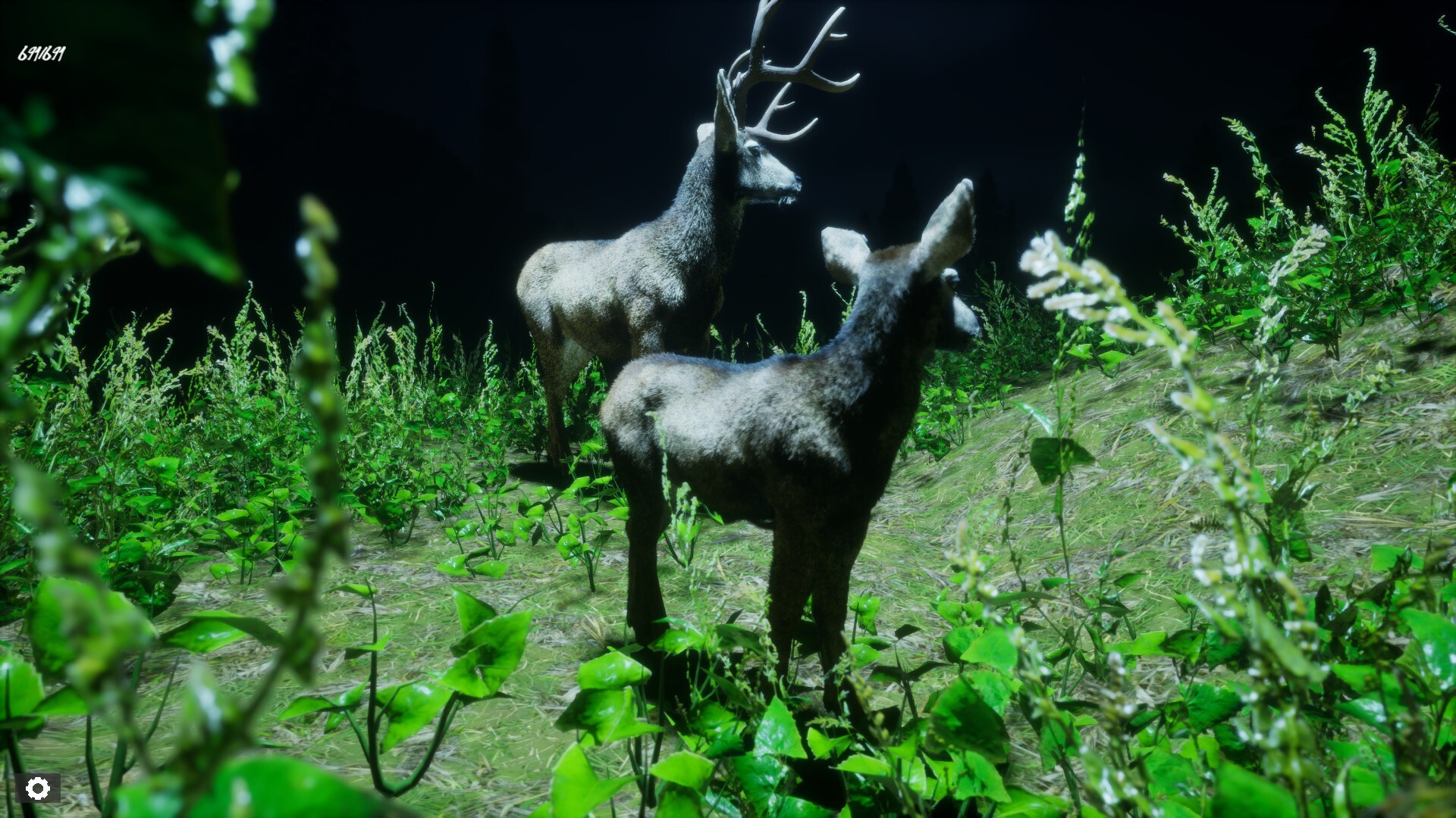 Untamed Kingdom Screenshot 10