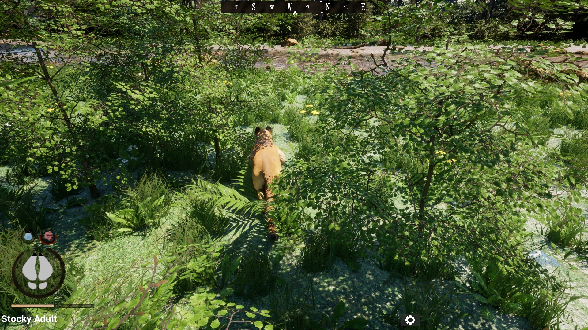 Untamed Kingdom Screenshot 13