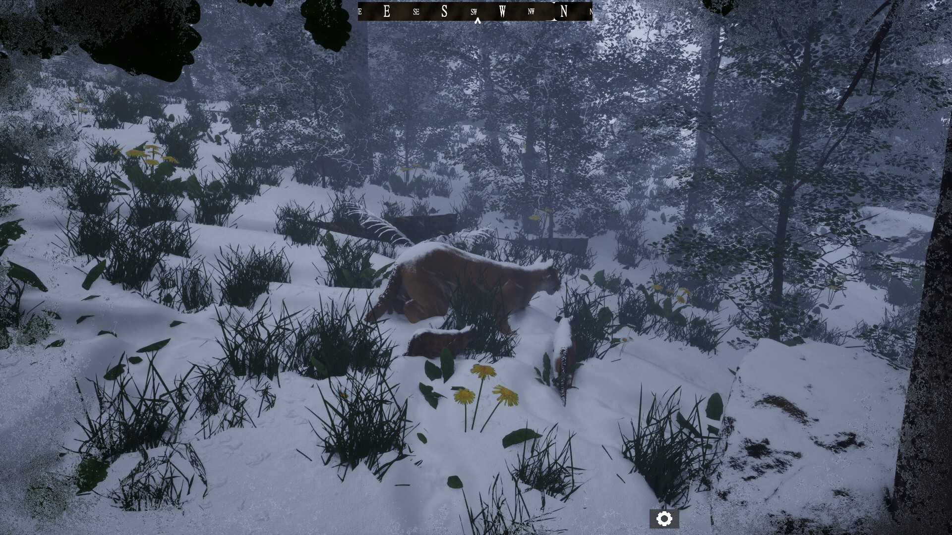 Untamed Kingdom Screenshot 0