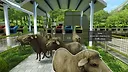 Farm Factory Simulator Screenshot 8