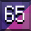 65 icon