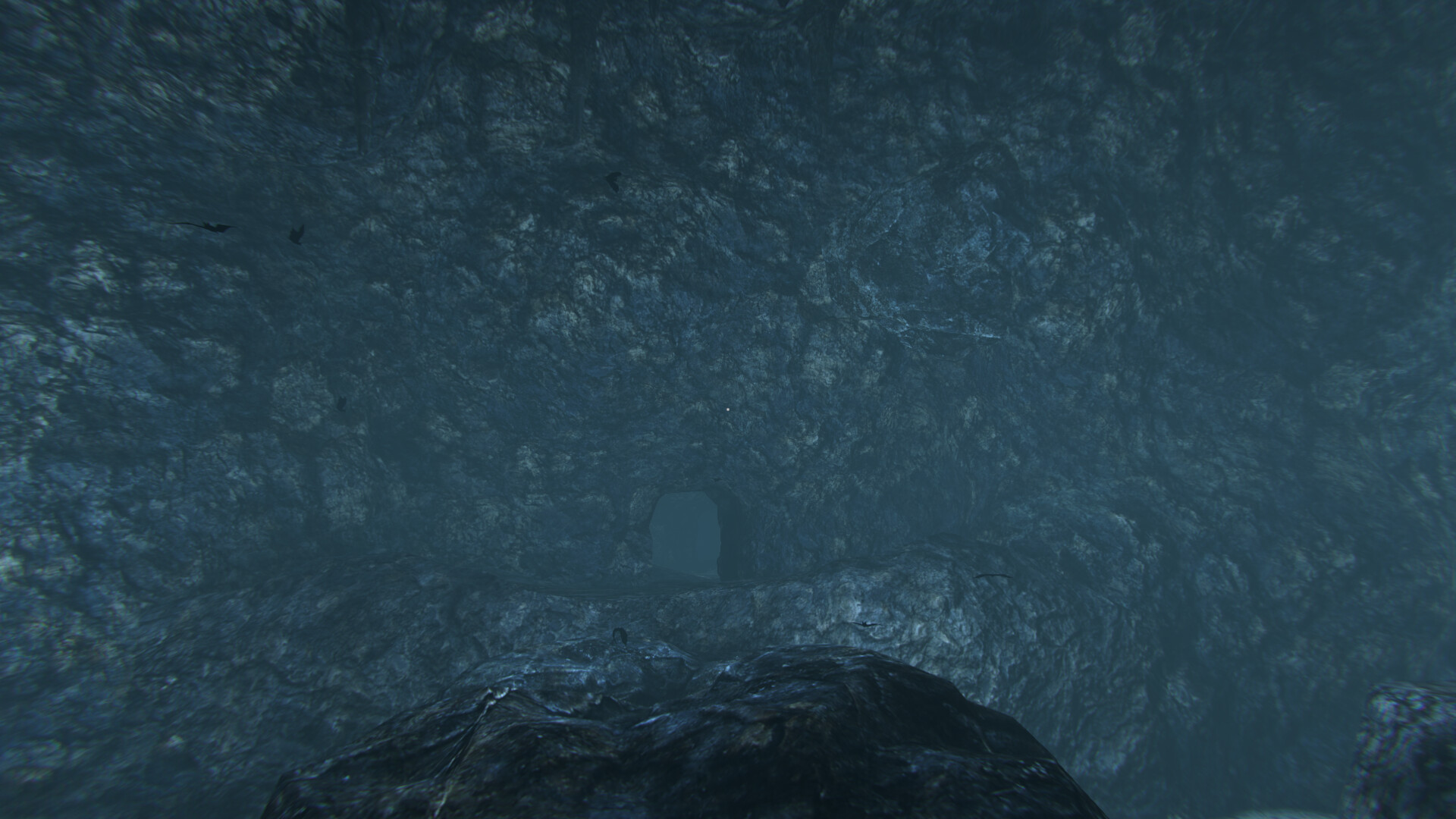 Cassiculus Screenshot 5