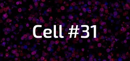 Cell #31