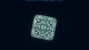 Earth’s Last Defense Idle Fleet Screenshot 9