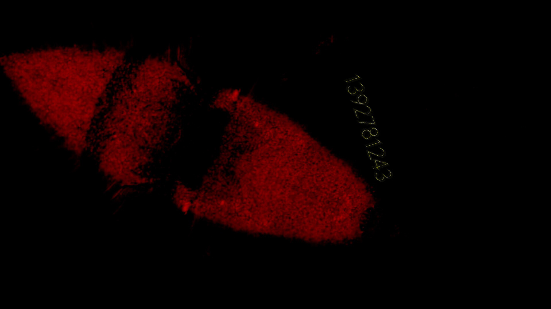 Project C██████ Screenshot 2