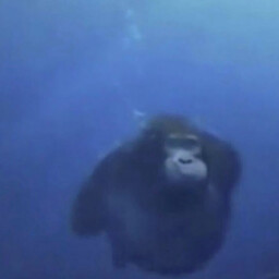 Чист и свеж icon