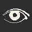 Spying icon