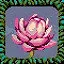 New Year Lotus icon