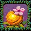 Golden Gooseberry Flower icon