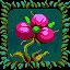 Dung Beetle icon