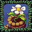 Bountiful Harvest icon