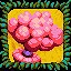 Blast Blossom icon