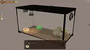 Desktop Reptiles Screenshot 5