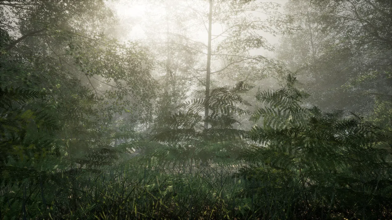 Obey the Rules: Forest Screenshot 1