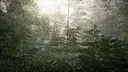 Obey the Rules: Forest Screenshot 1